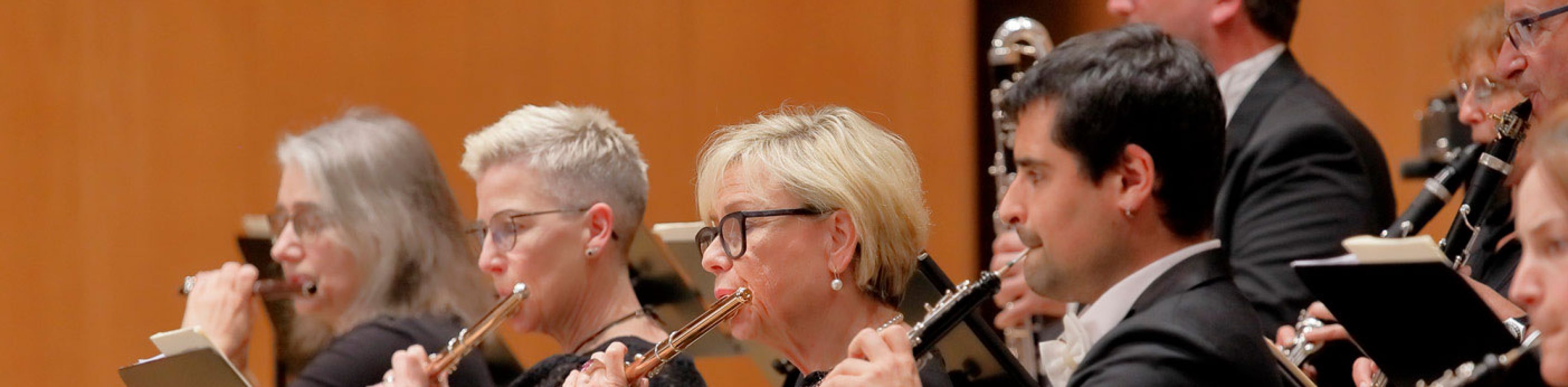 Heilbronner Sinfonie Orchester, © HSO Heilbronner Sinfonie Orchester, © HSO