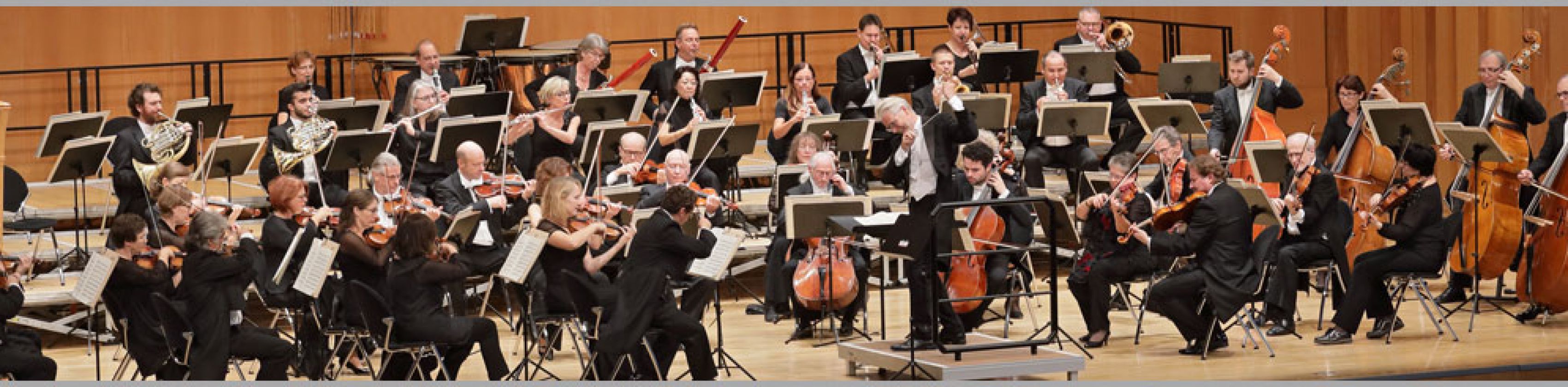 HSO unter A. Seidlmeier, © HSO HSO unter A. Seidlmeier, © HSO