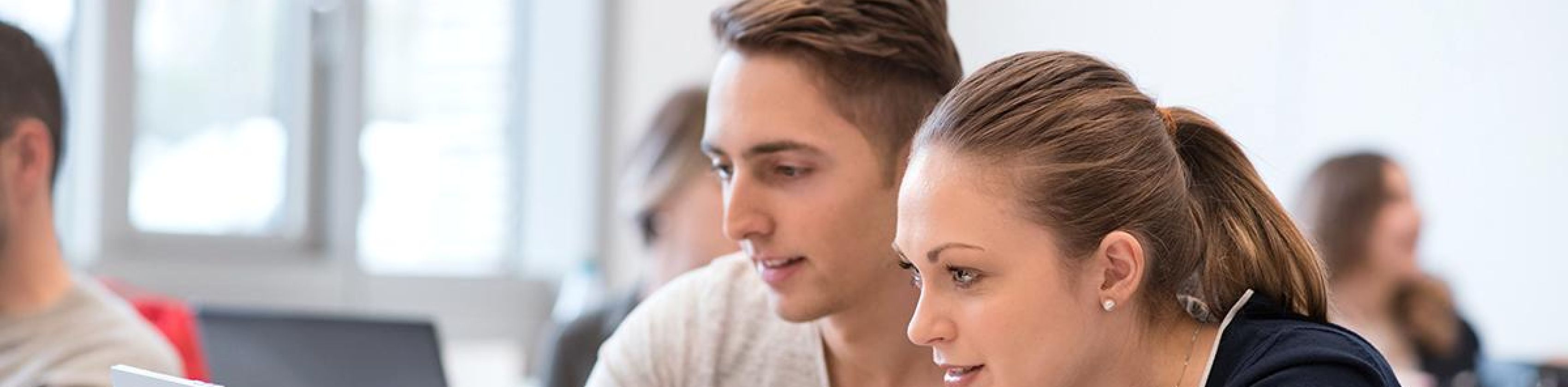 Studierende, die am Laptop arbeiten, © Hochschule Heilbronn Studierende, die am Laptop arbeiten, © Hochschule Heilbronn