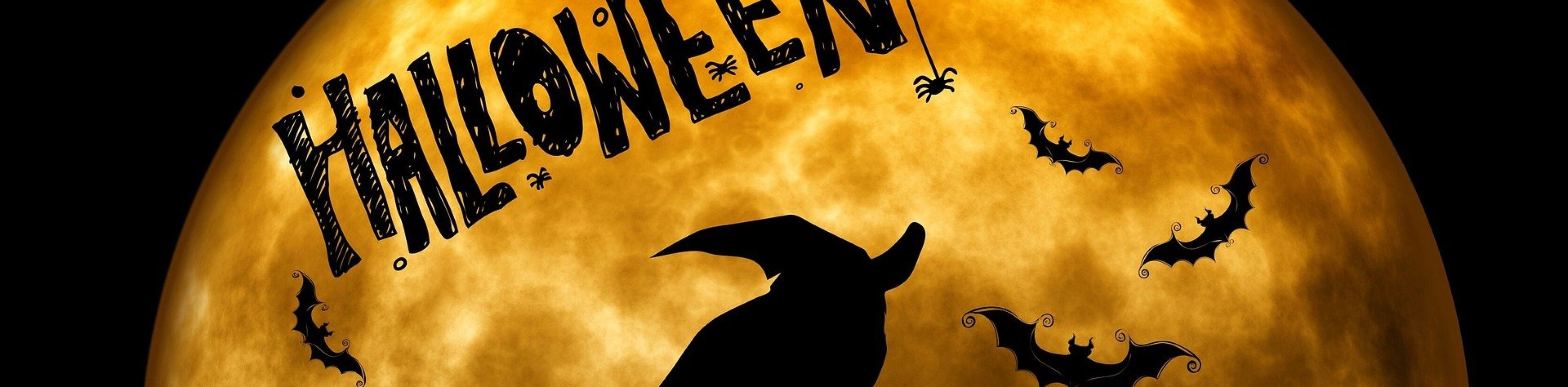 Halloween Hexe Halloween Hexe