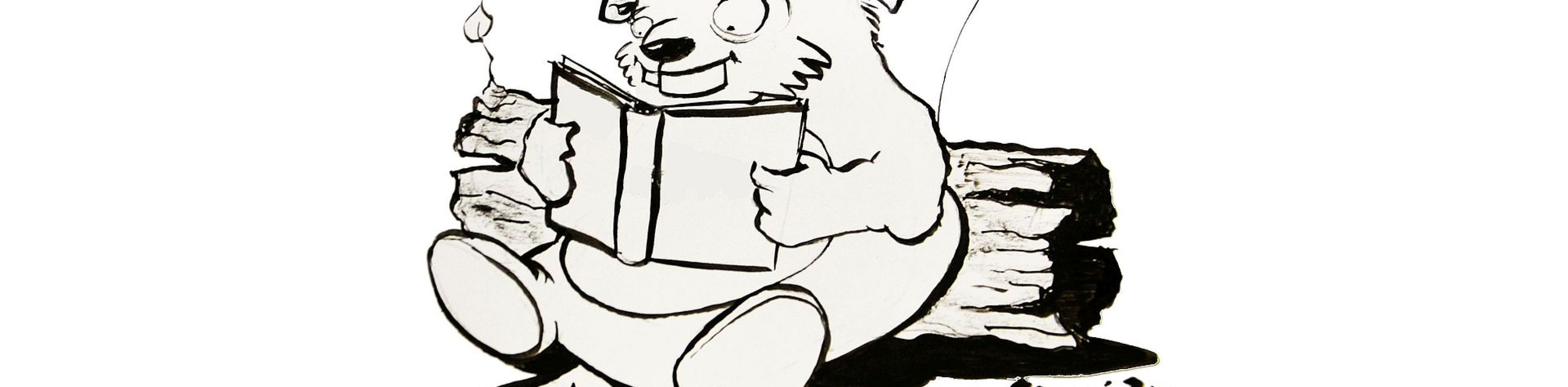 Lesebiber Biberach c Andreas Incze Lesebiber Biberach c Andreas Incze