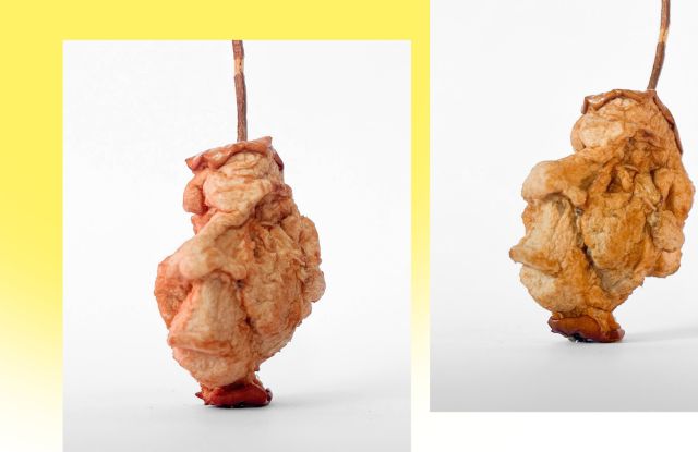 Slider Regine Weimar Slider Regine Weimar