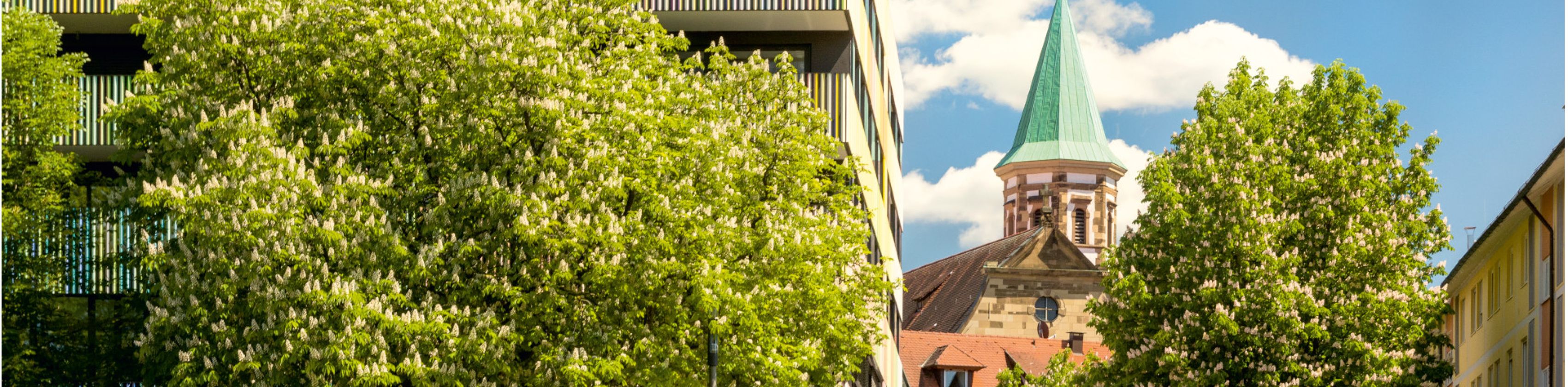 Deutschordensmünster am Marrahaus Deutschordensmünster am Marrahaus