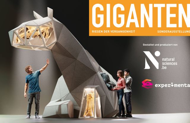 Giganten - Riesen der Vergangenheit, © Royal Belgian Institute of Natural Sciences Giganten - Riesen der Vergangenheit, © Royal Belgian Institute of Natural Sciences