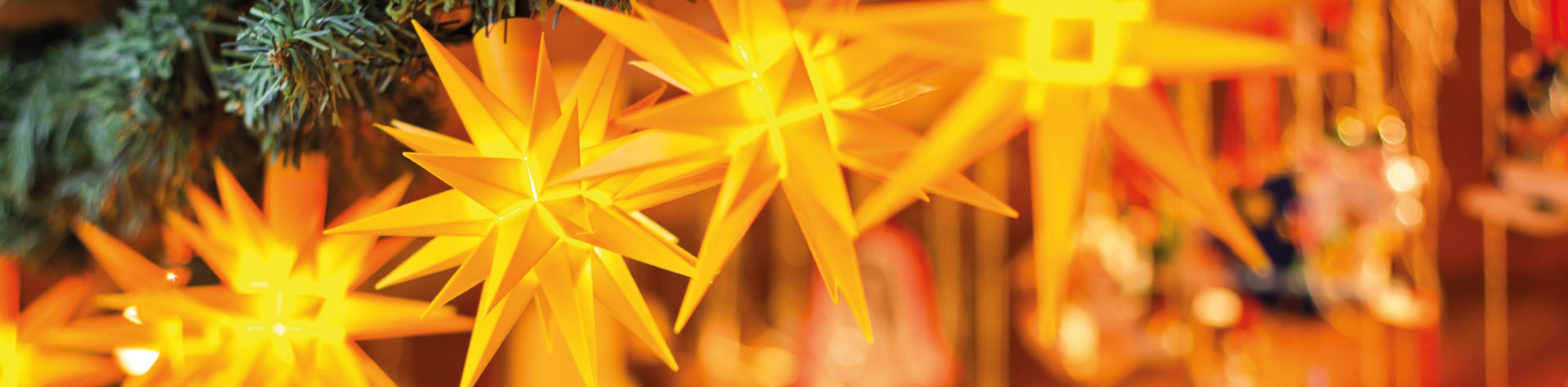 Weihnachtssterne Weihnachtssterne