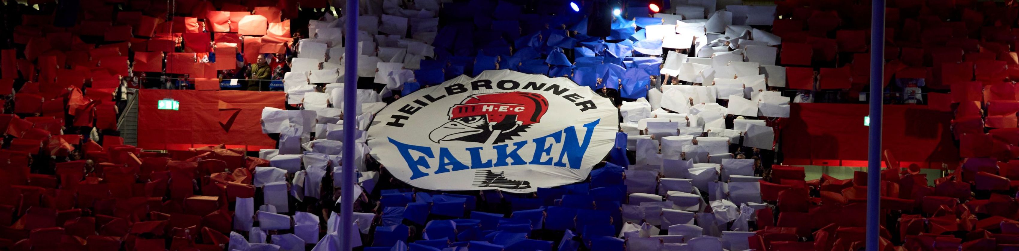 Choreo Falken, © Heilbronner Falken Choreo Falken, © Heilbronner Falken