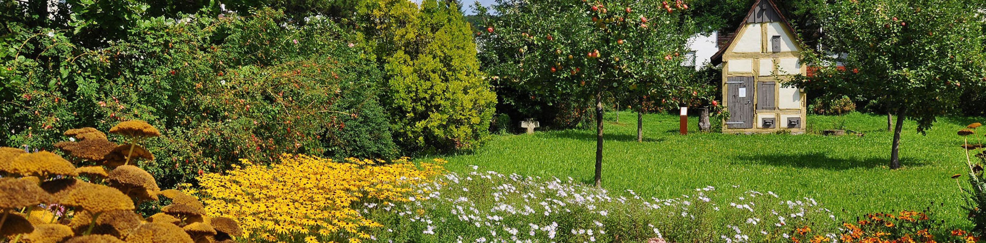 Botanischer Obstgarten Botanischer Obstgarten