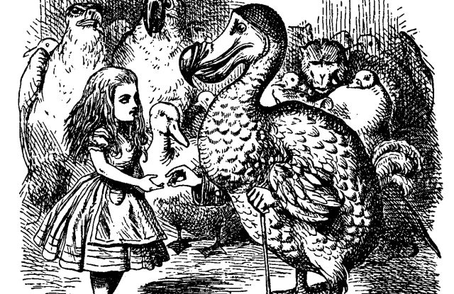 John Tenniel - Alice begegnet dem Dodo, &copy; John Tenniel / Gemeinfrei