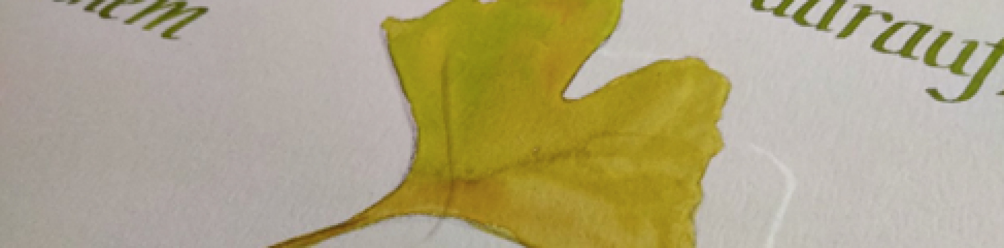 Veredeltes Lettering, &copy; keb Heilbronn