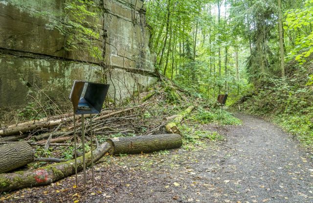 Geo- und Naturpfad Heilbronn, &copy; St&auml;dtische Museen Heilbronn, Foto: Heiko Hagner / gruppe sepia