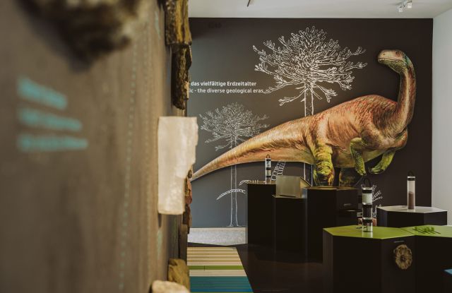 Raumansicht mit Plateosaurus, © Städtische Museen Heilbronn