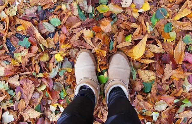 Herbstgeschichten - AUSGEBUCHT