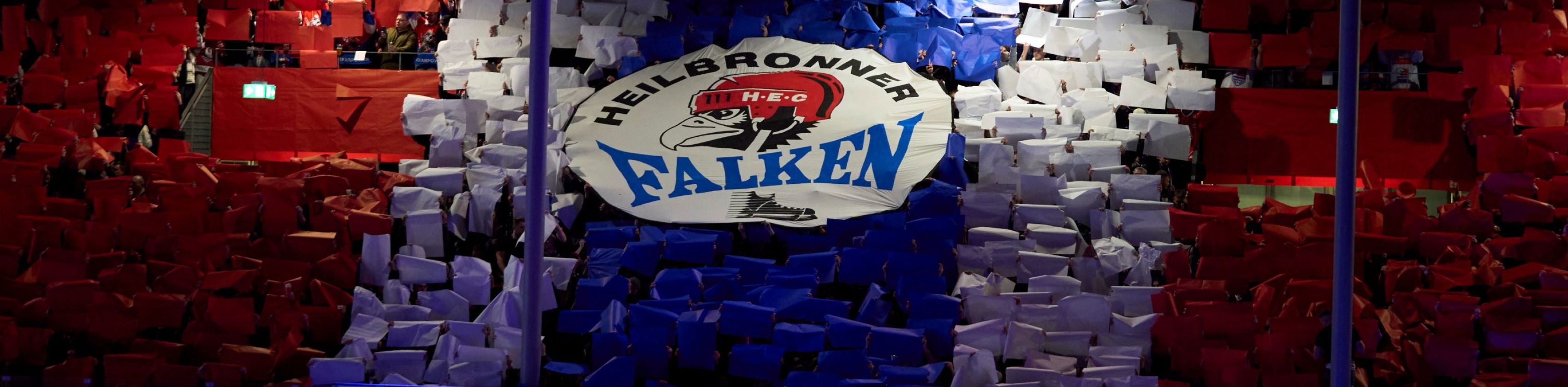 Choreo Falken, &copy; Heilbronner Falken