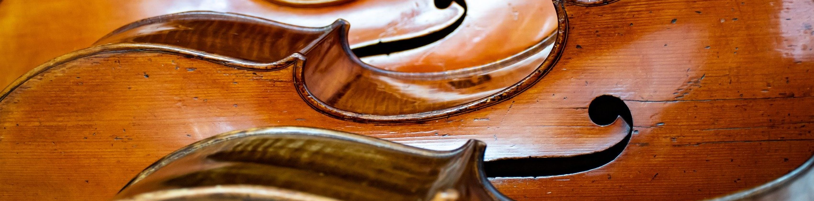 Violoncello