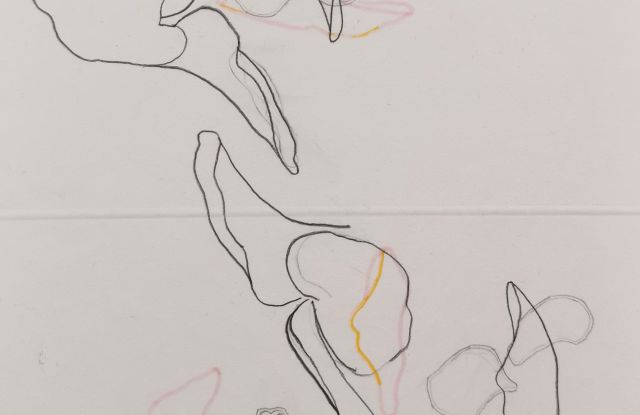 karindorntetzlaff "Die Malerin zu schweben scheint"
Zeichnung, Faserstift auf Büttenpapier", © karindorntetzlaff