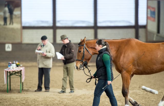 Pferdepr&auml;mierung am Trappensee, Reiterin steht mit Ihrem Pferd in der Reithalle