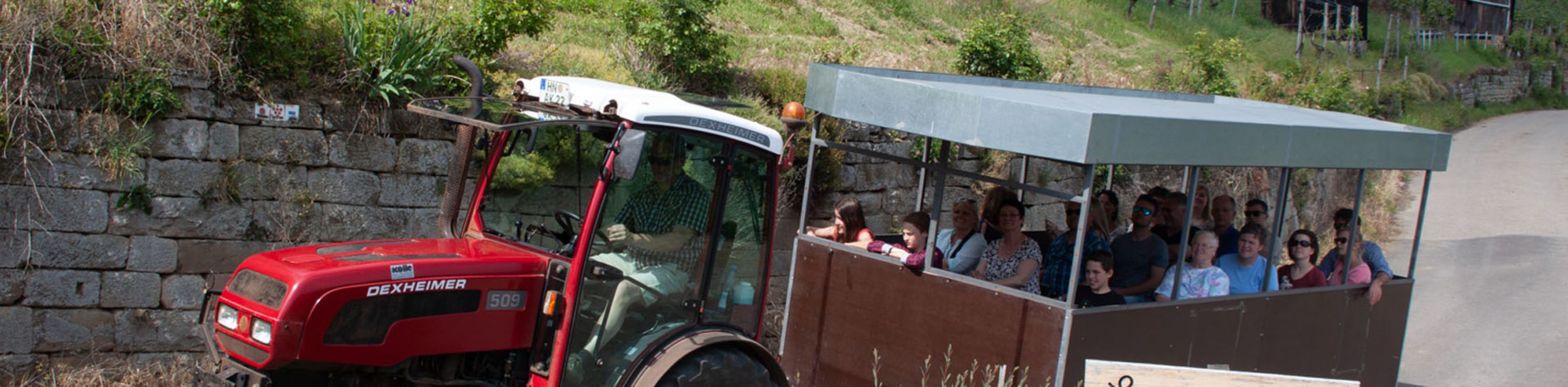 Traktorsafari im Weinberg
