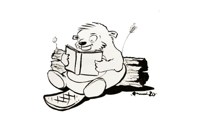 Lesebiber Biberach c Andreas Incze