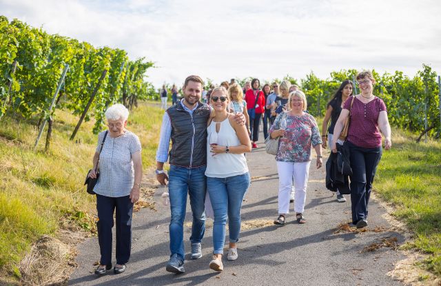 Weinwanderung am Wartberg