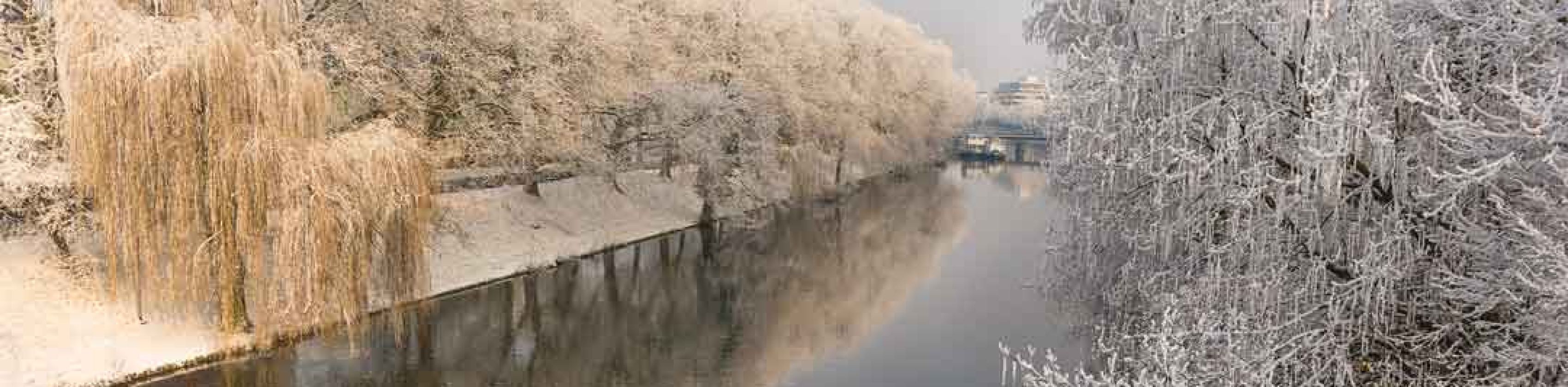 Der Heilbronner Neckar im Winter