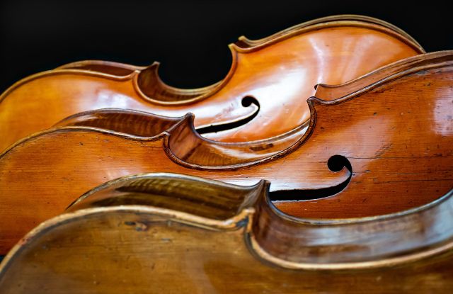 Violoncello