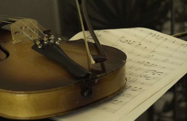 Violine