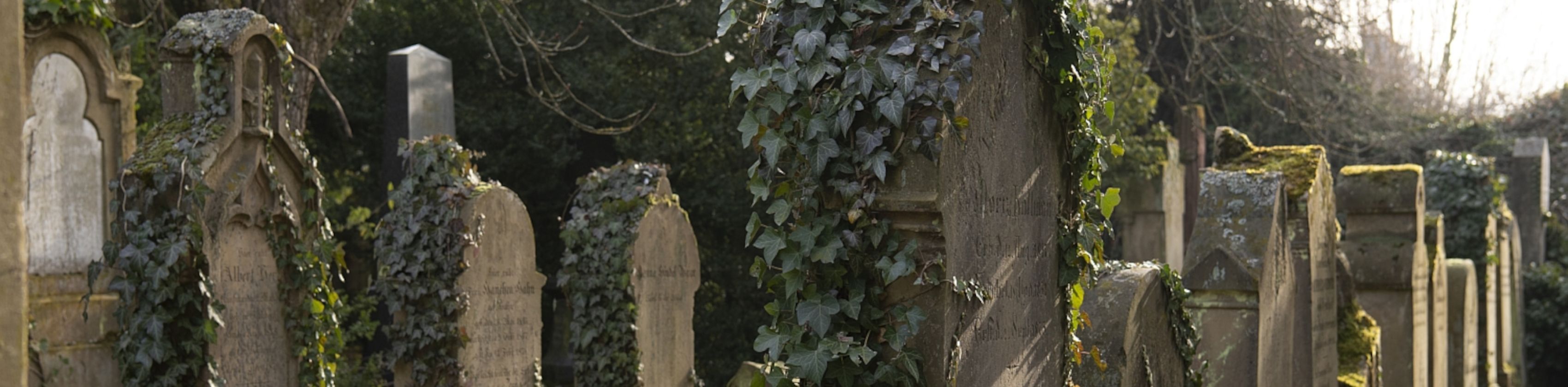 Israelitischer Friedhof