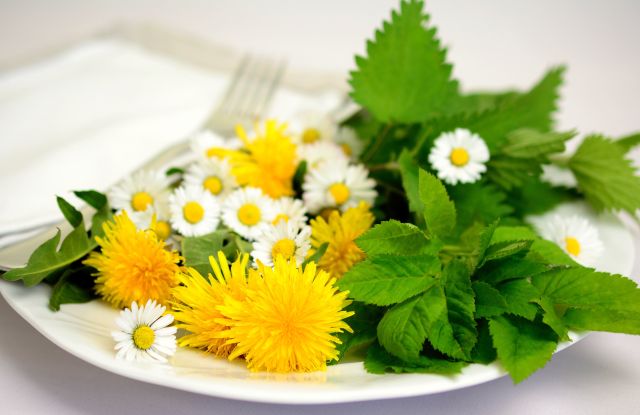 Unkr&auml;uter, Wildkr&auml;uter oder doch Heilkr&auml;uter?, &copy; congerdesign auf pixabay