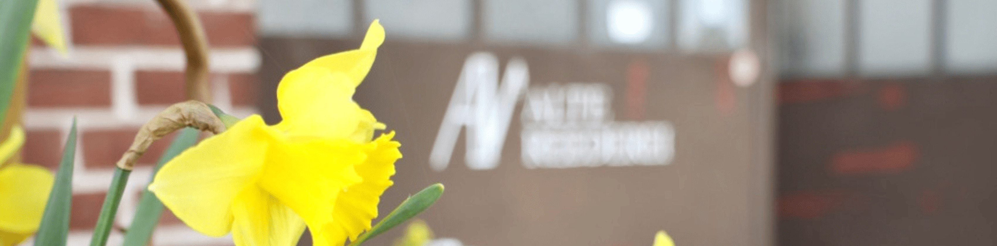 Alte Reederei, &copy; Voltino Restaurant und Catering GmbH & Co. KG