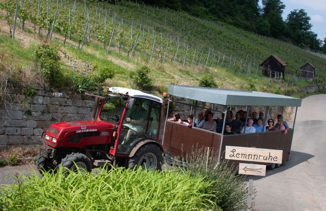 Traktorsafari im Weinberg