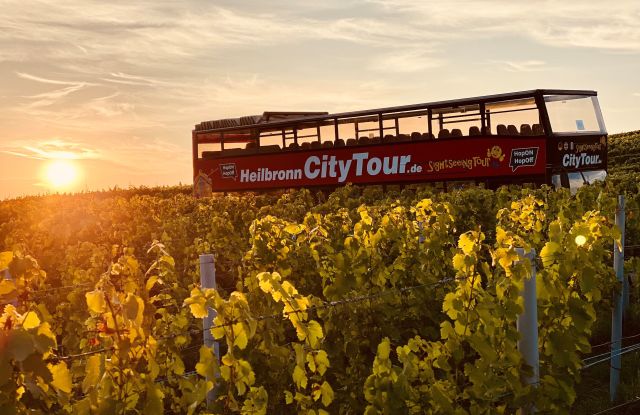 Hop on Bus in den Weinbergen