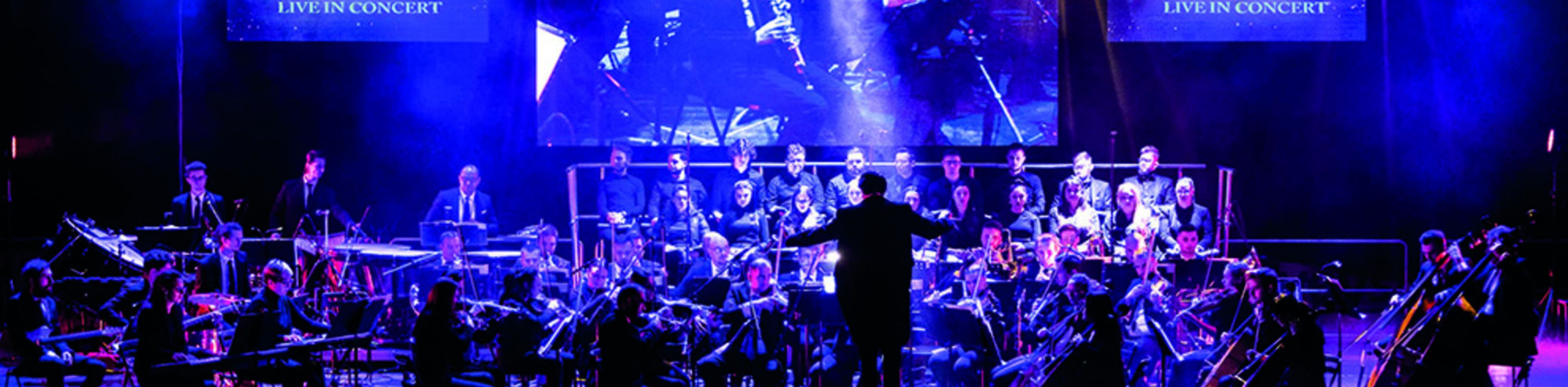 Harry Potter Konzert