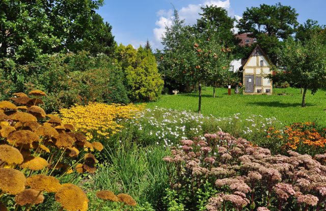 Botanischer Obstgarten