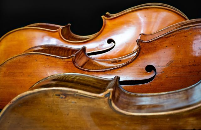 Violoncello