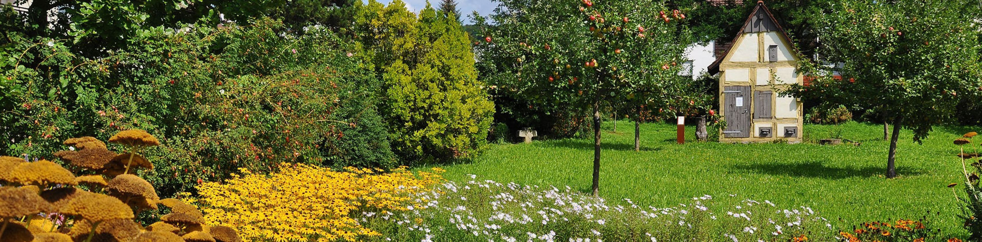 Botanischer Obstgarten