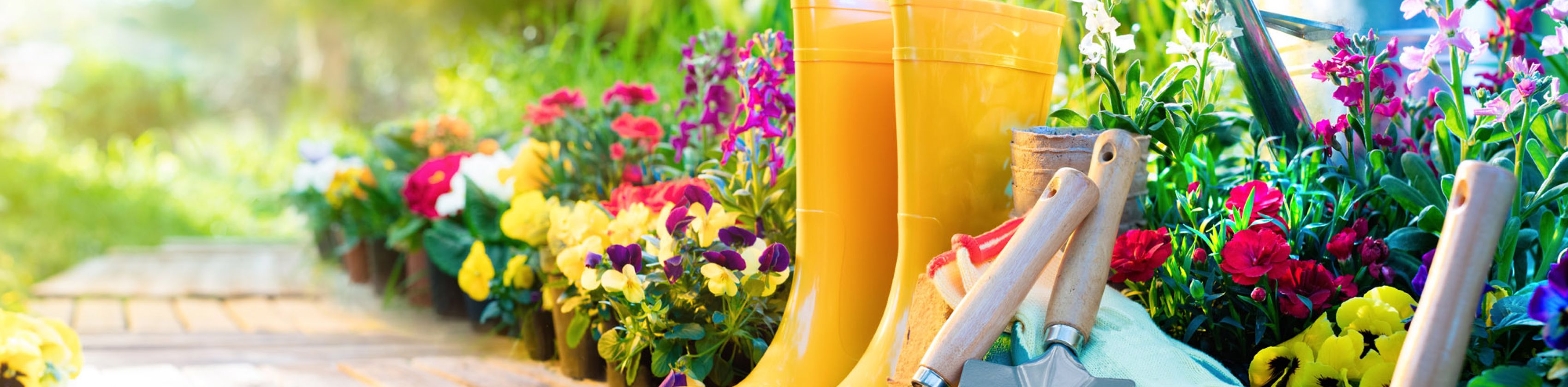 Garten mit Gummistiefeln