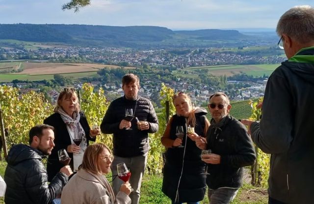 Weinverkostung im Weinberg