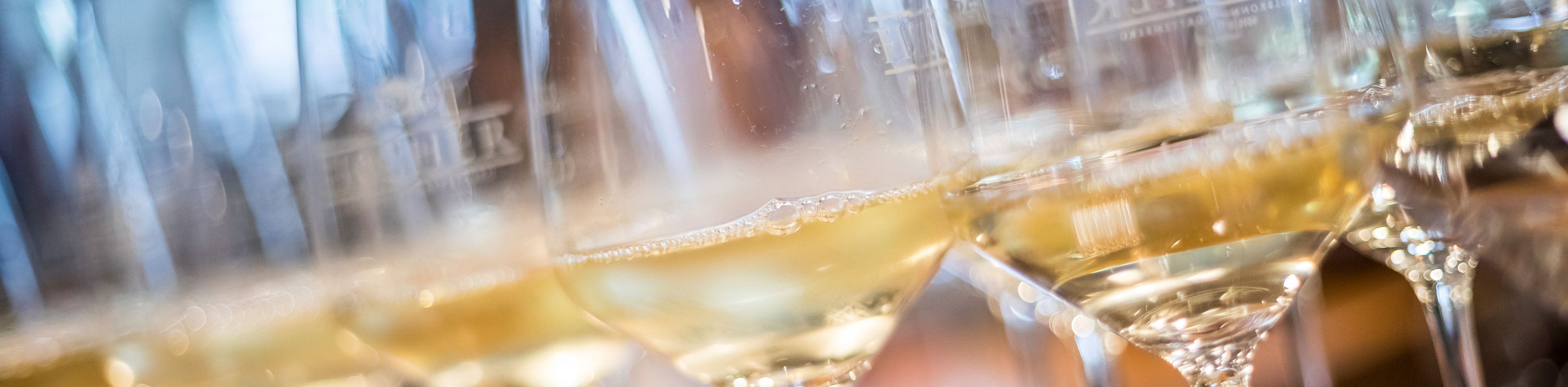 Sondertasting Weine der Loire, © ssc