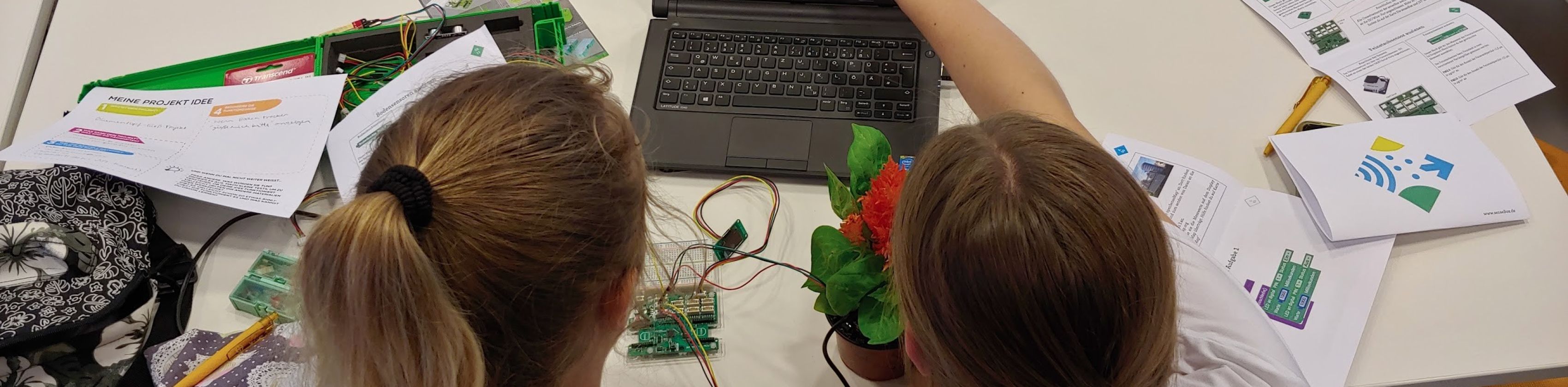 Kinder beim senseBox Workshop., &copy; Reedu GmbH & Co. KG