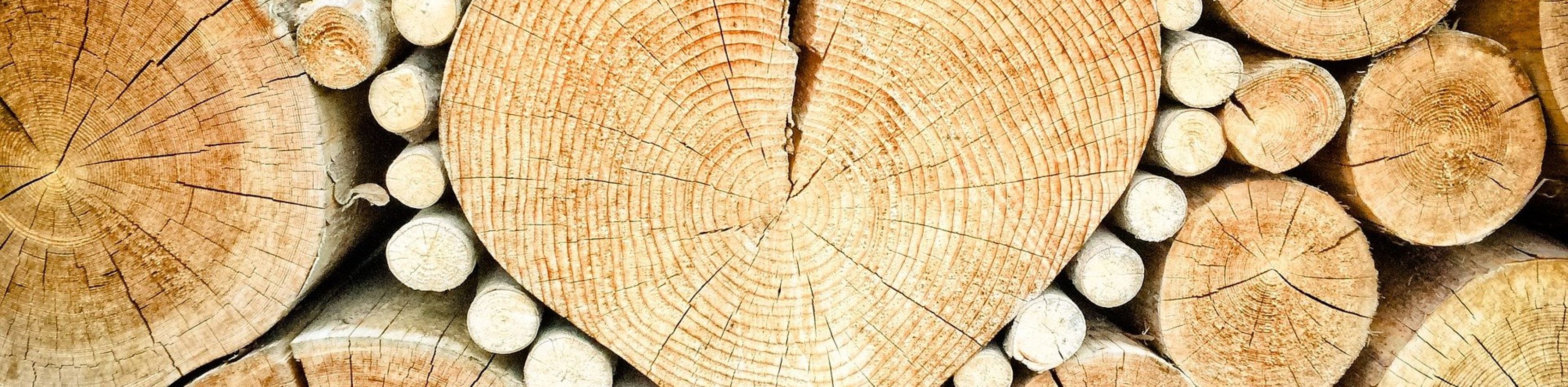 Holz