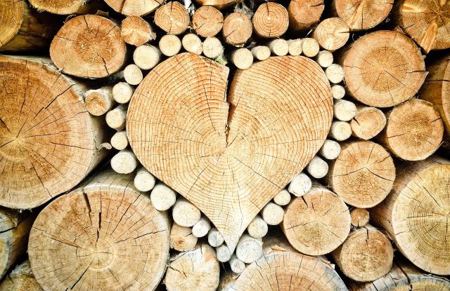 Holz