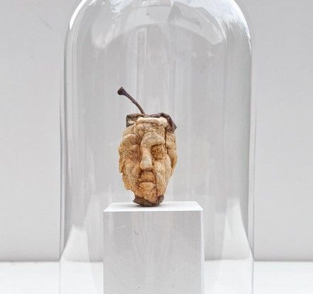 Regine Weimar "Essperimentell"