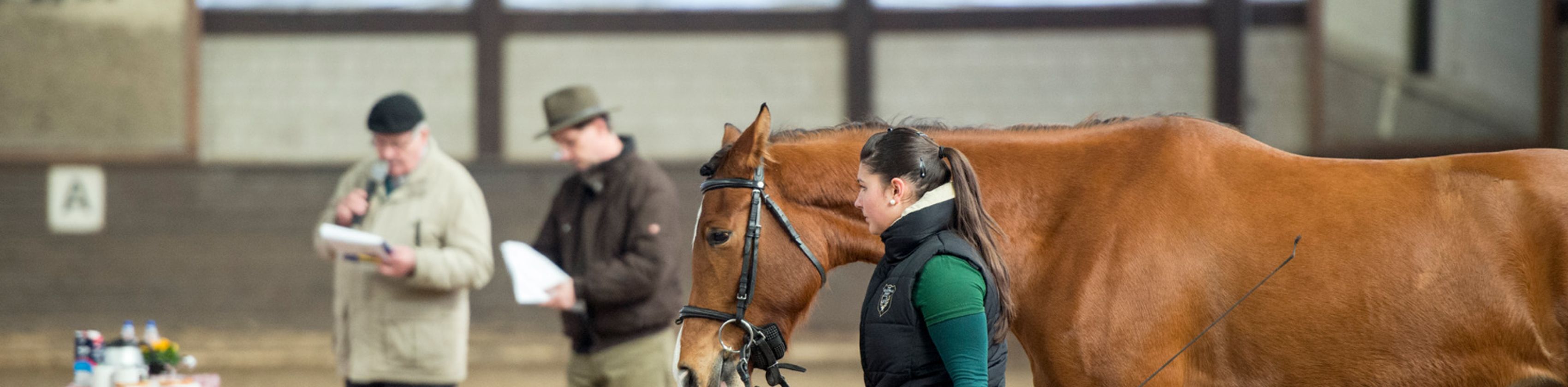 Pferdepr&auml;mierung am Trappensee, Reiterin steht mit Ihrem Pferd in der Reithalle