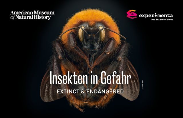 Insekten in Gefahr Foto © Levon Biss