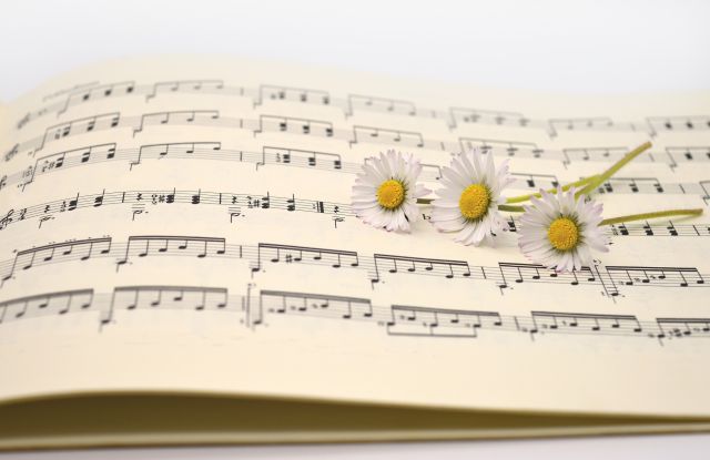Notenblatt mit Gänseblümchen