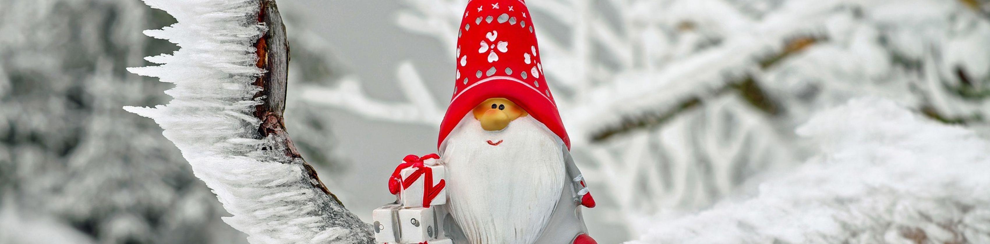 Nikolaus