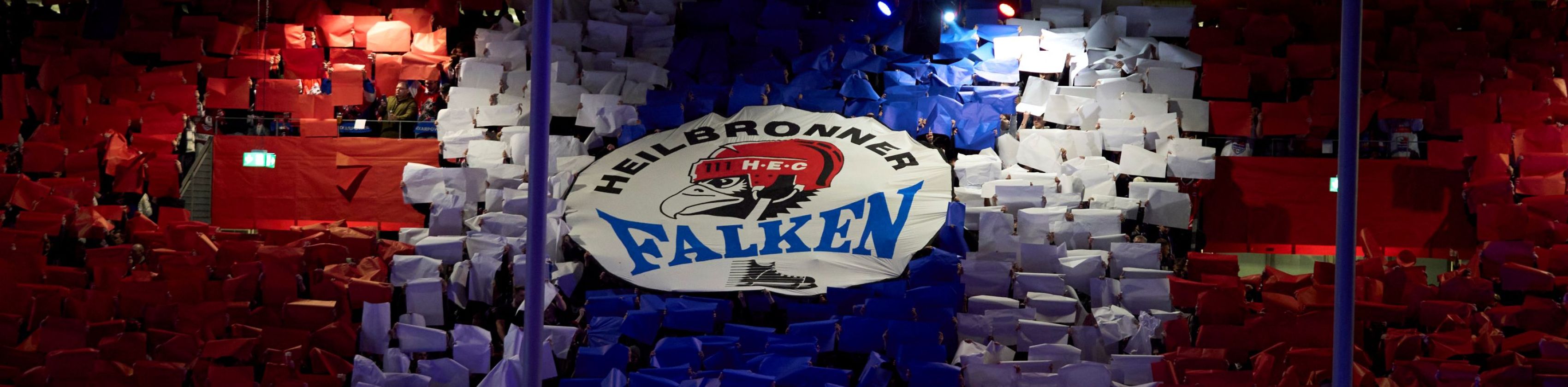 Choreo Falken, &copy; Heilbronner Falken