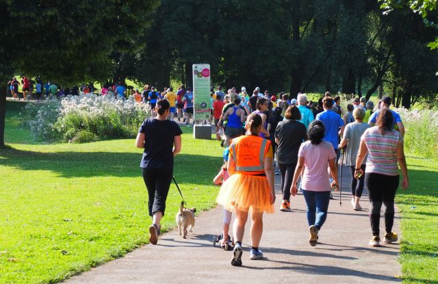 Menschen laufen im Park, © Wertwiesen parkrun