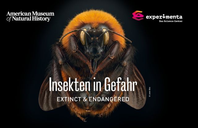 Insekten in Gefahr Foto © Levon Biss