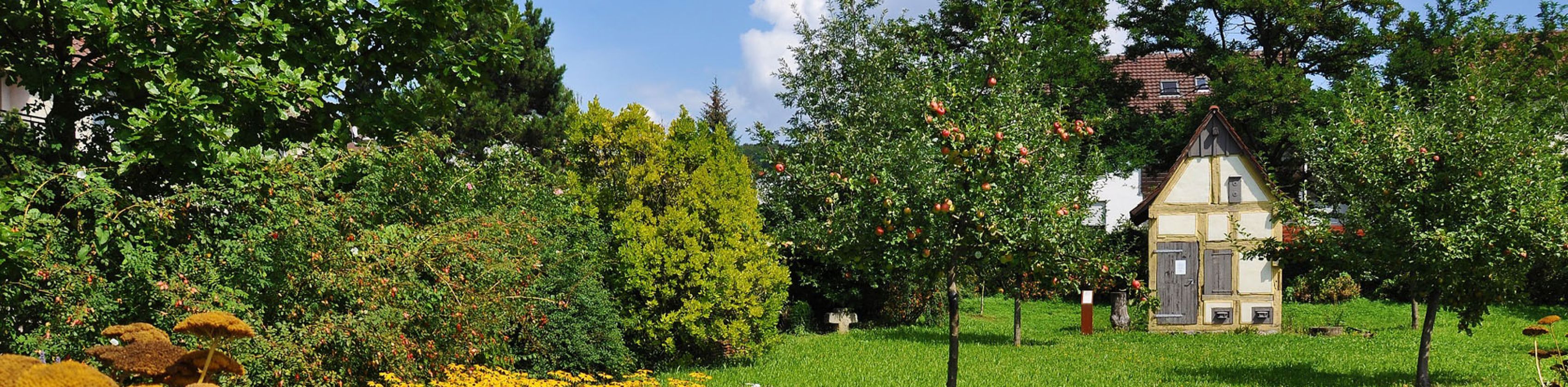 Botanischer Obstgarten